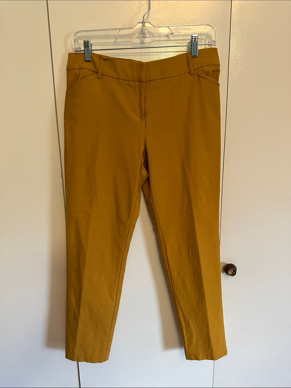 Women's Cropped Stretch Pants in Mustard